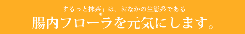 するっとカフェは腸内フローラを元気にします。