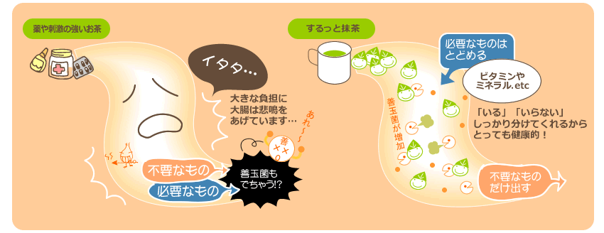 腸の中
