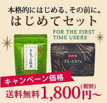 はじめてセット