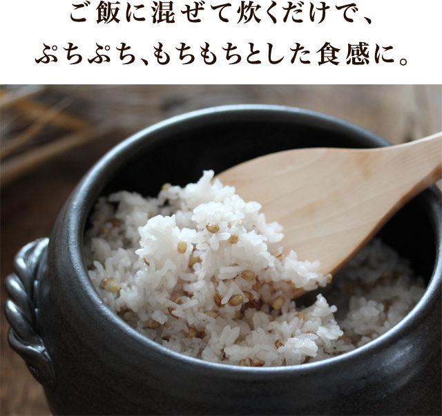 するり麦 スタートガイド 情報まとめ ナチュライズ 旧おつうじ屋 するり麦 スタートガイド 情報まとめ ナチュライズ 旧おつうじ屋