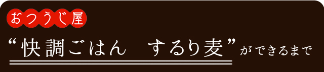 快調ごはんするり麦ができるまで